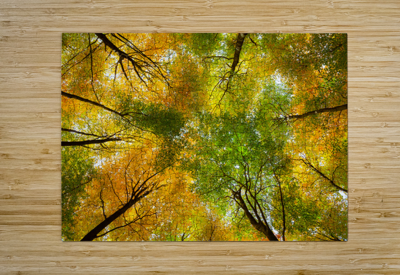 Autumnal Display Dave Bowman Puzzle printing