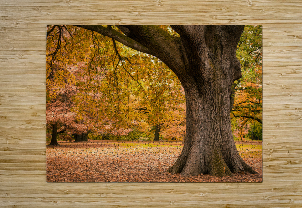 Autumn in Melbourne Dave Bowman Puzzle printing