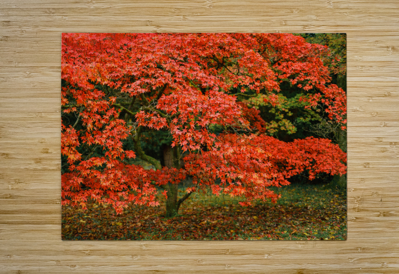 Leaves of Fire Dave Bowman Puzzle printing
