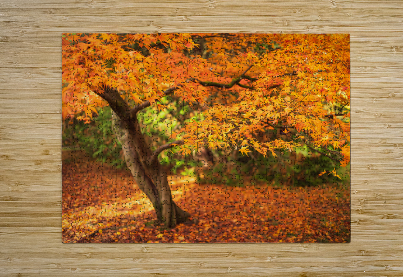 Maple Autumn Beauty Dave Bowman Puzzle printing