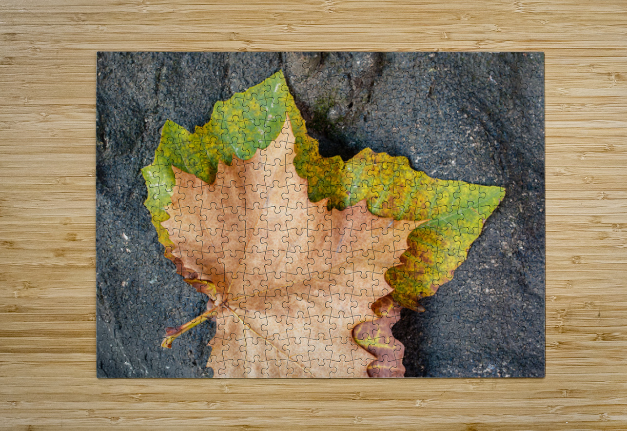 Two Autumn Leaves Dave Bowman Puzzle printing
