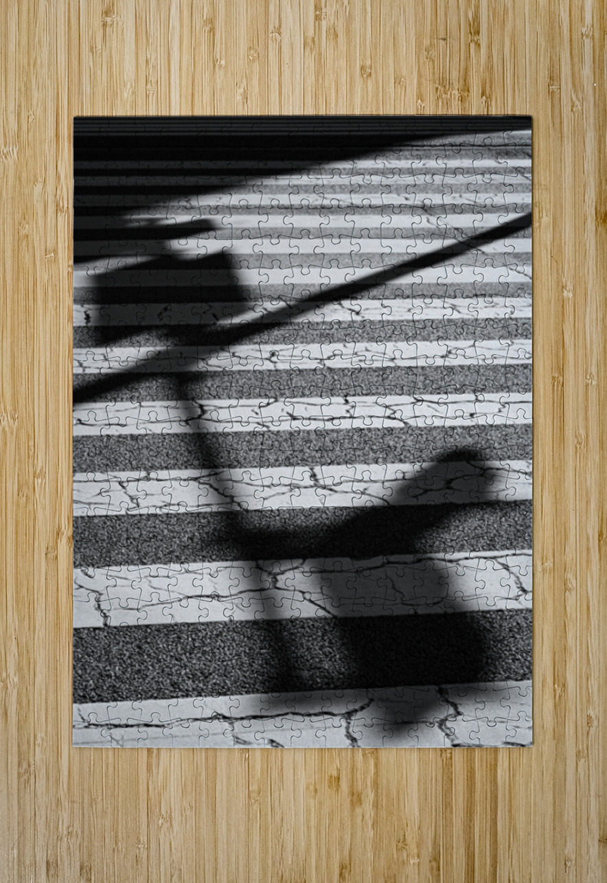 Tokyo Crossing Dave Bowman Puzzle printing