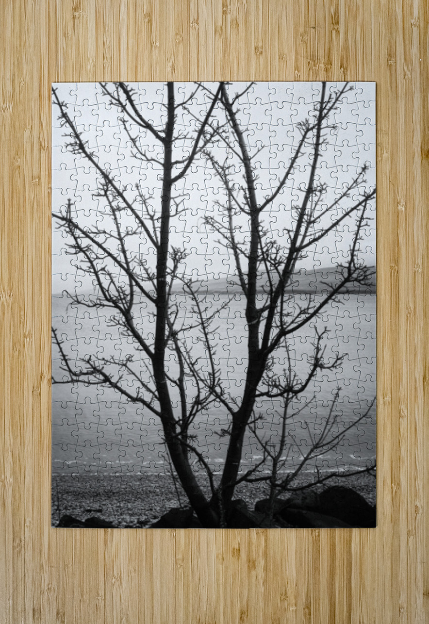 Islay Tree Dave Bowman Puzzle printing