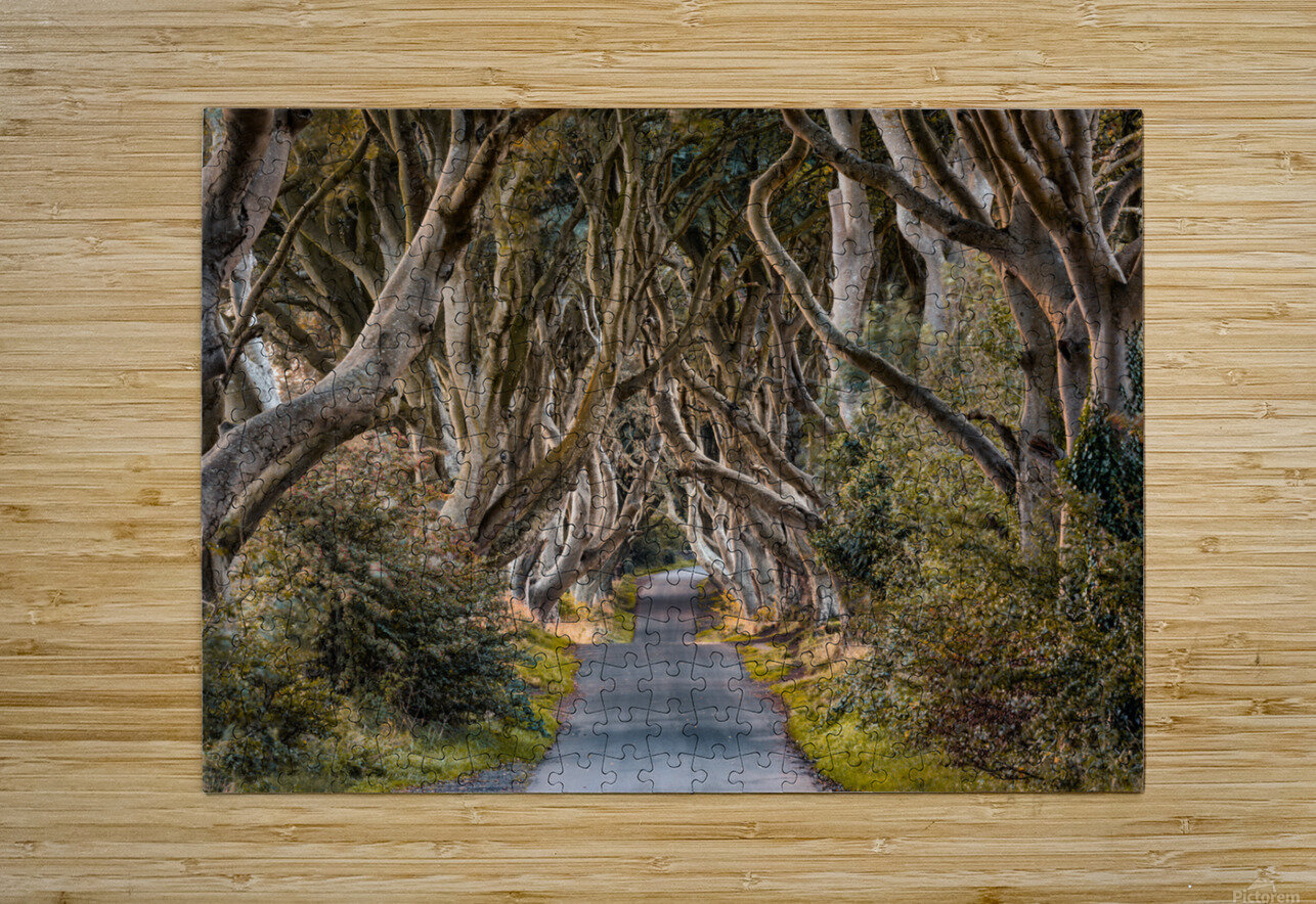 The Dark Hedges Dave Bowman Puzzle printing