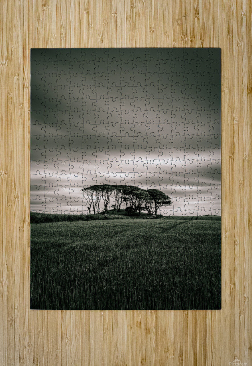 Crawton Copse Dave Bowman Puzzle printing