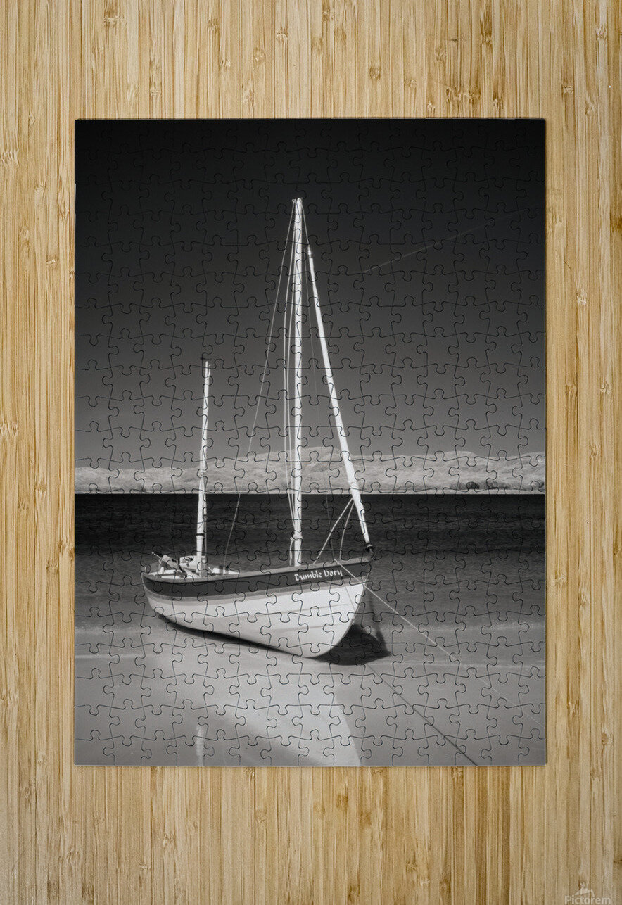 Dumble Dory Dave Bowman Puzzle printing