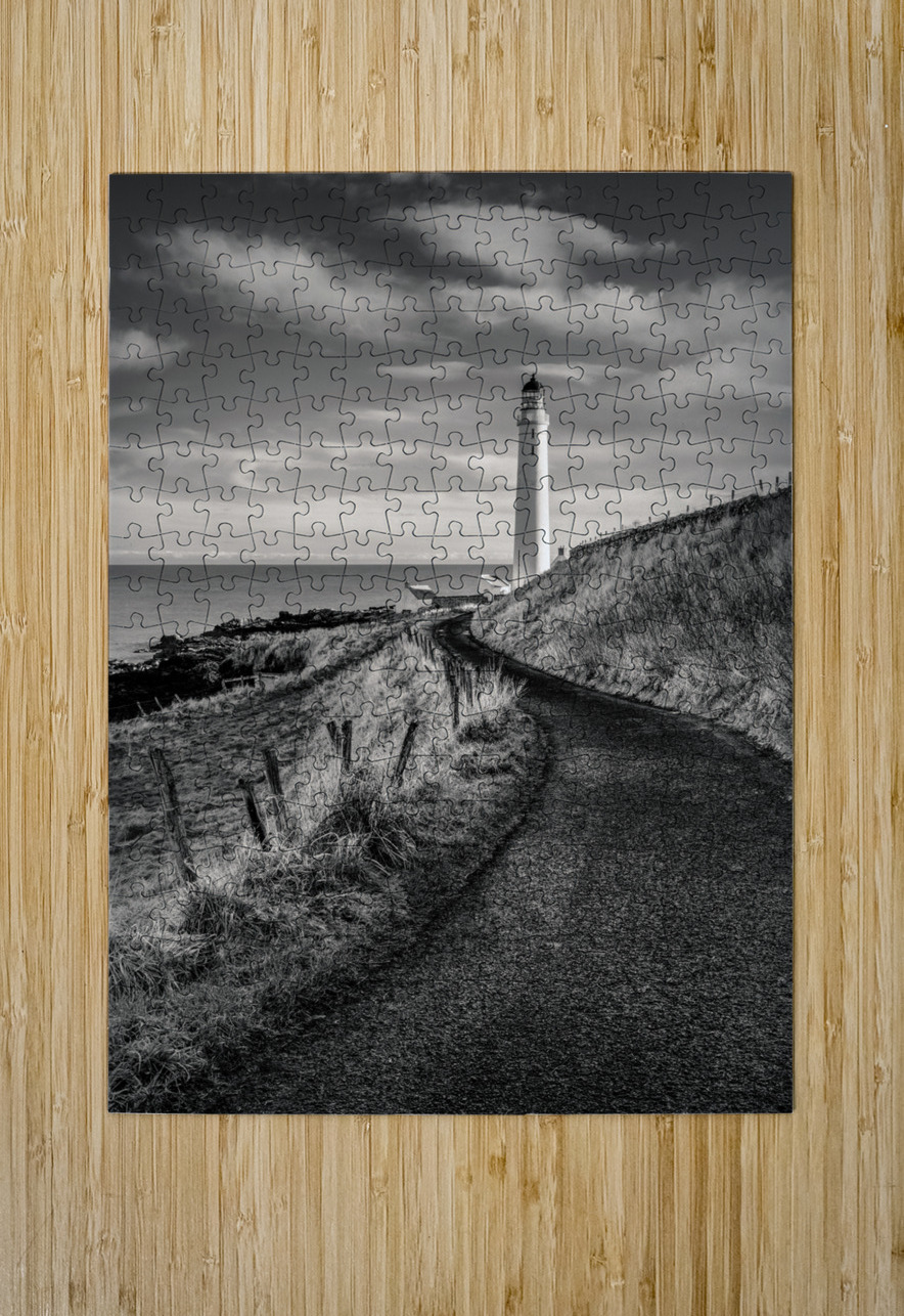 Road to Scurdie Ness Dave Bowman Puzzle printing