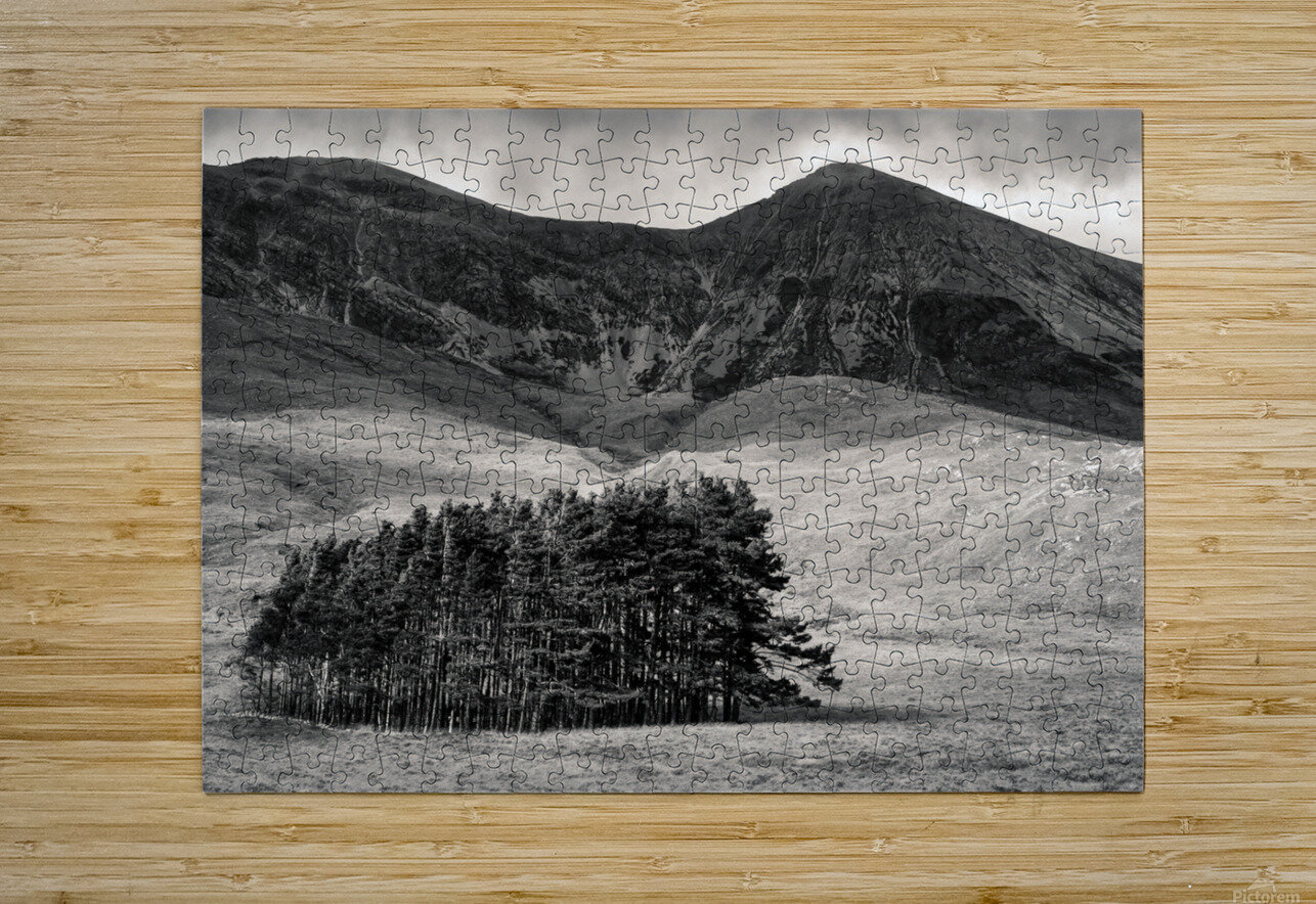 Torridon Trees Dave Bowman Puzzle printing