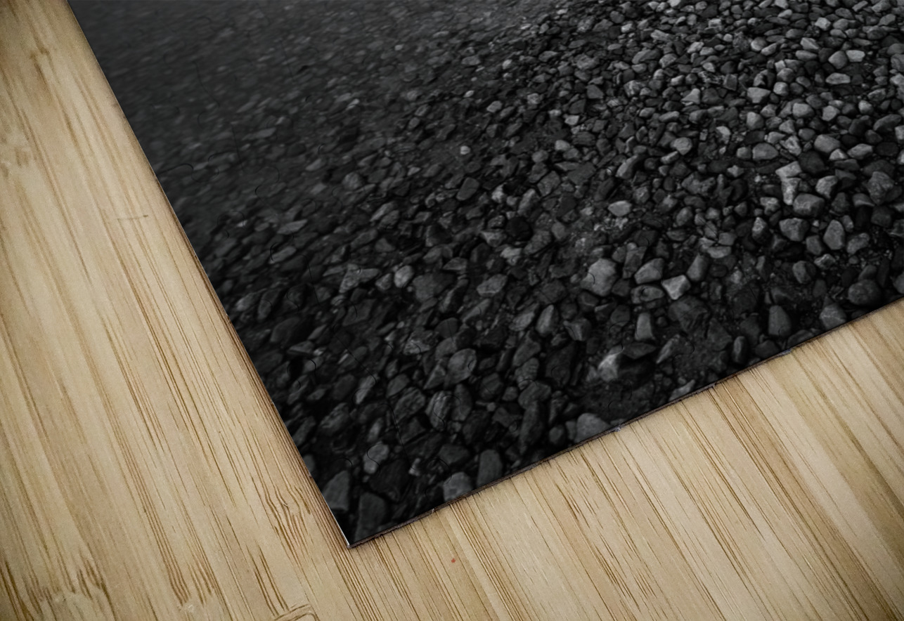 Ardvreck Castle II Dave Bowman Puzzle