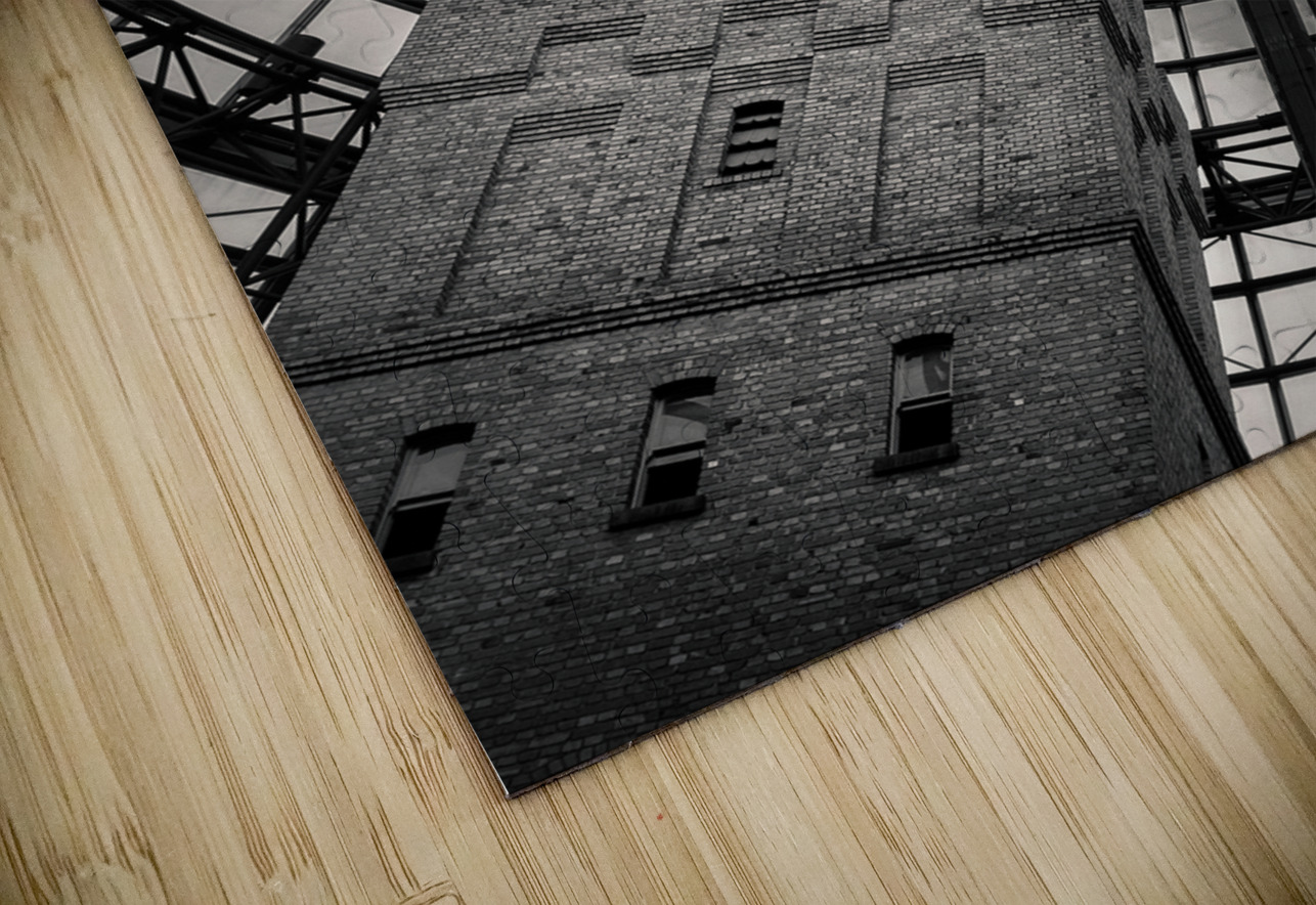 Coops Shot Tower Dave Bowman Puzzle