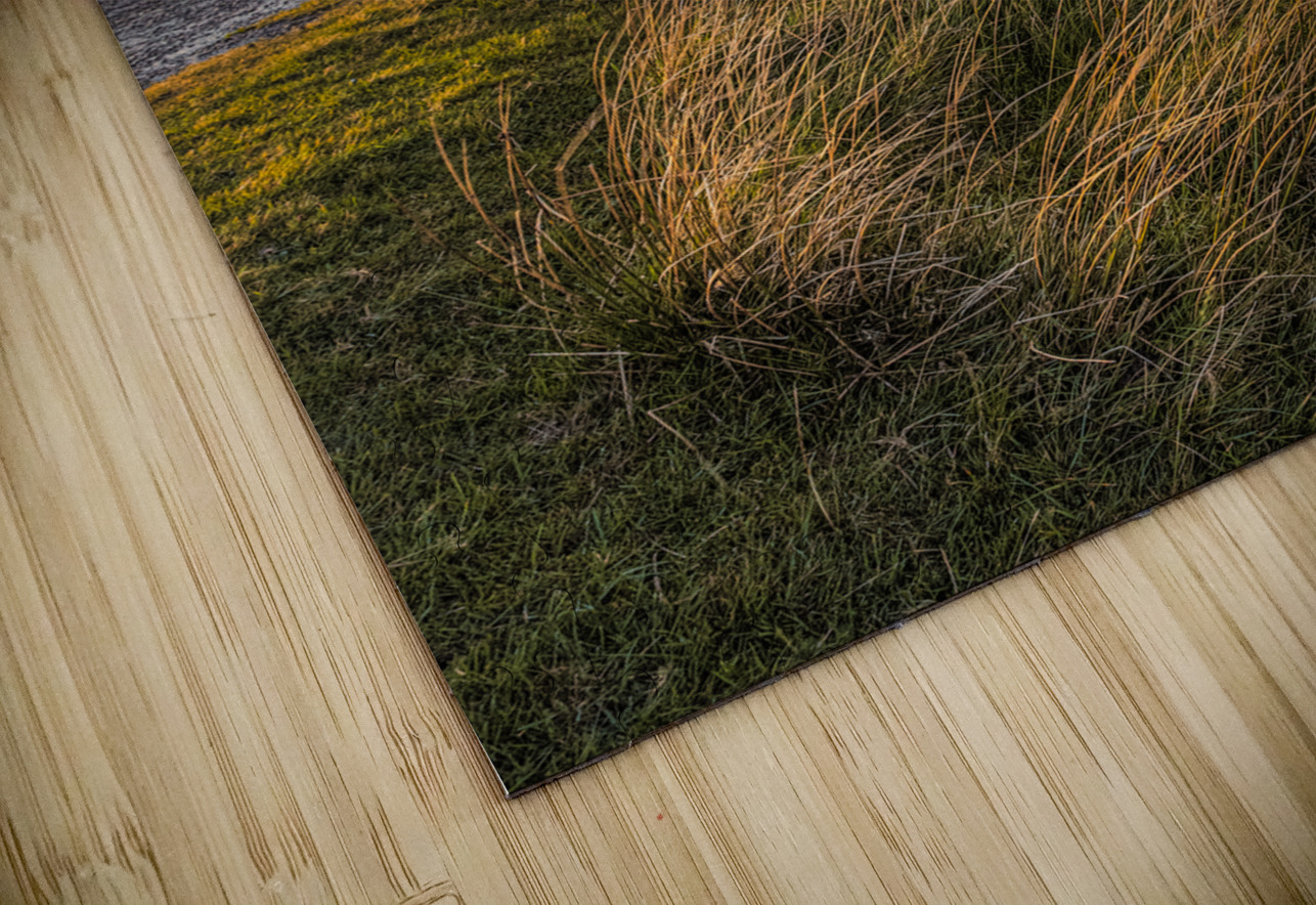 Stoer Lighthouse Dave Bowman Puzzle