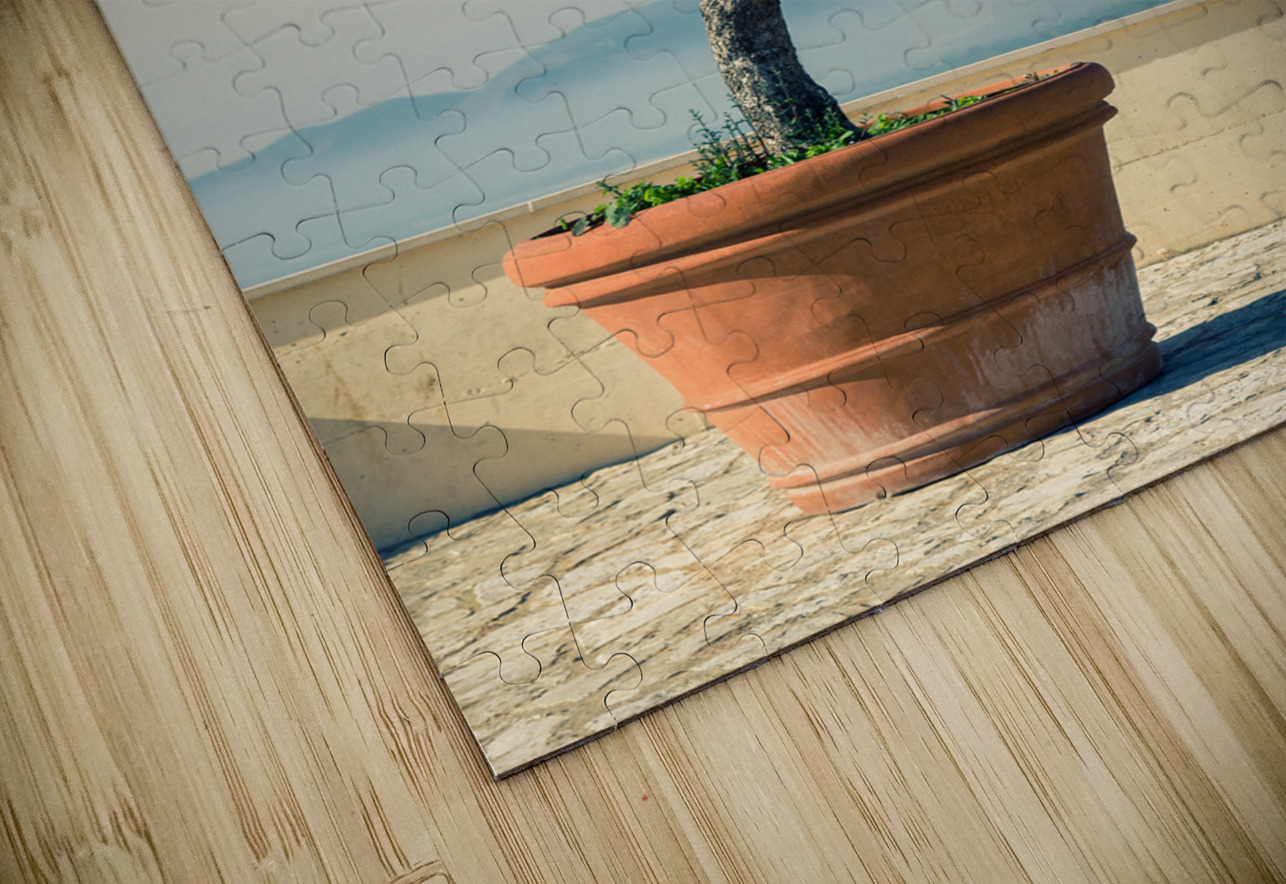 Olive Tree Dave Bowman Puzzle