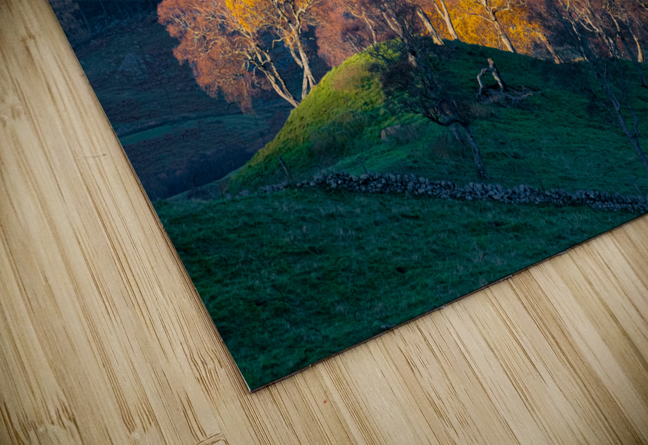 Autumn in Glenshee Dave Bowman Puzzle