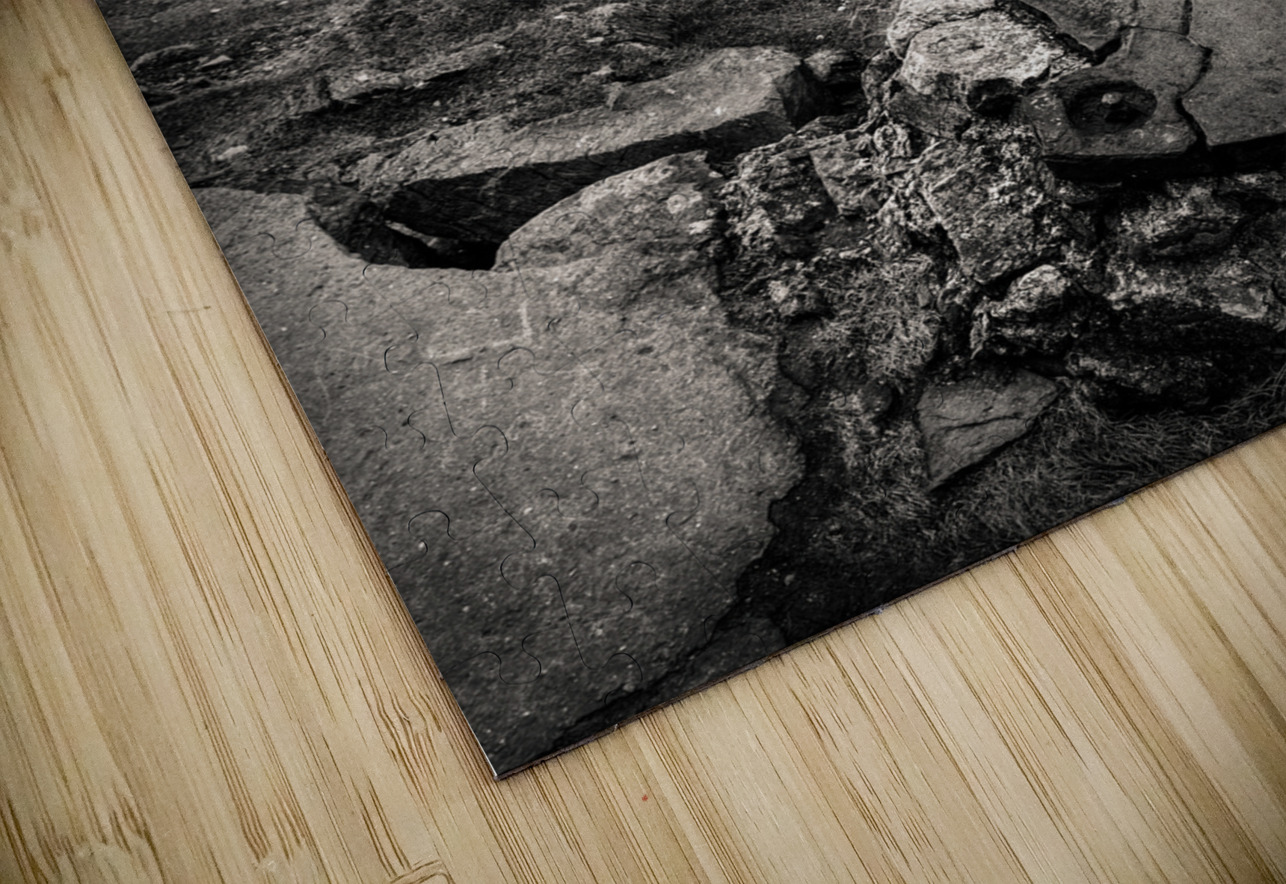 South Stack View Dave Bowman Puzzle