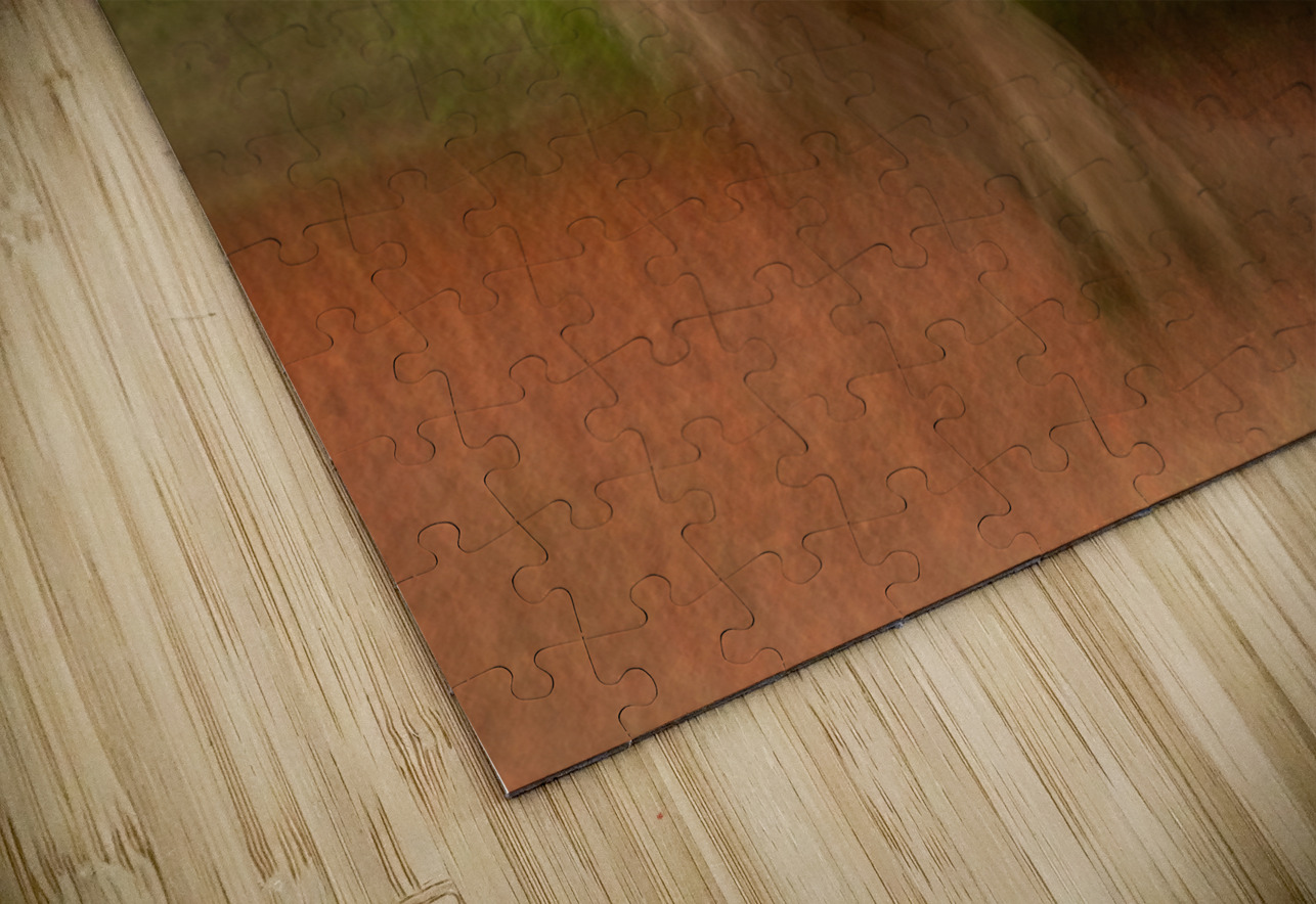 Autumn in Motion Dave Bowman Puzzle