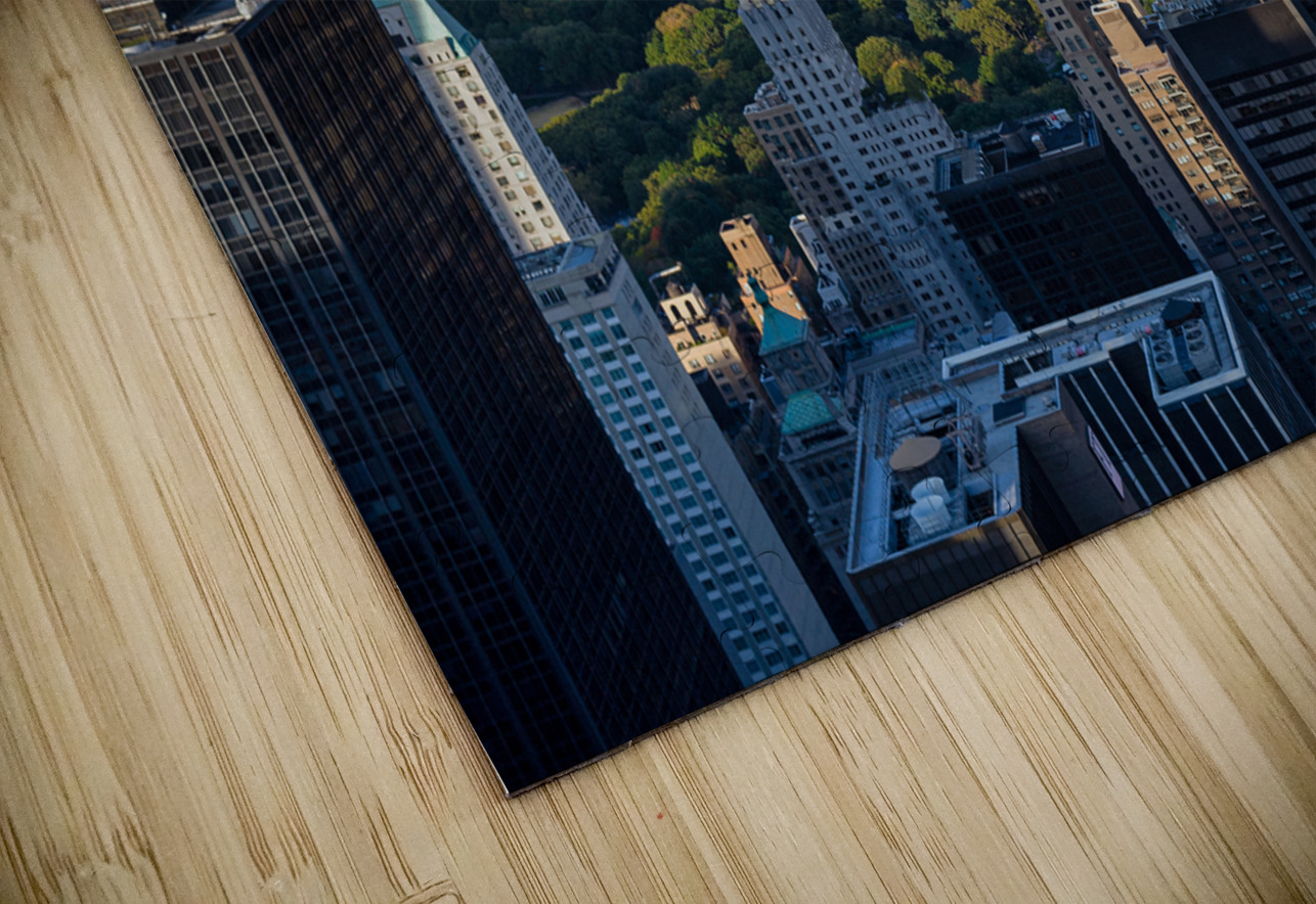 Central Park Dave Bowman Puzzle