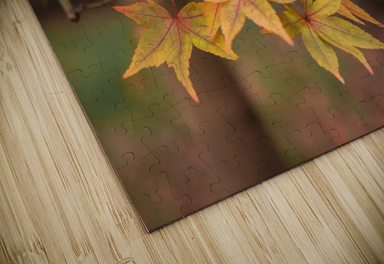 Turning Seasons Dave Bowman Puzzle