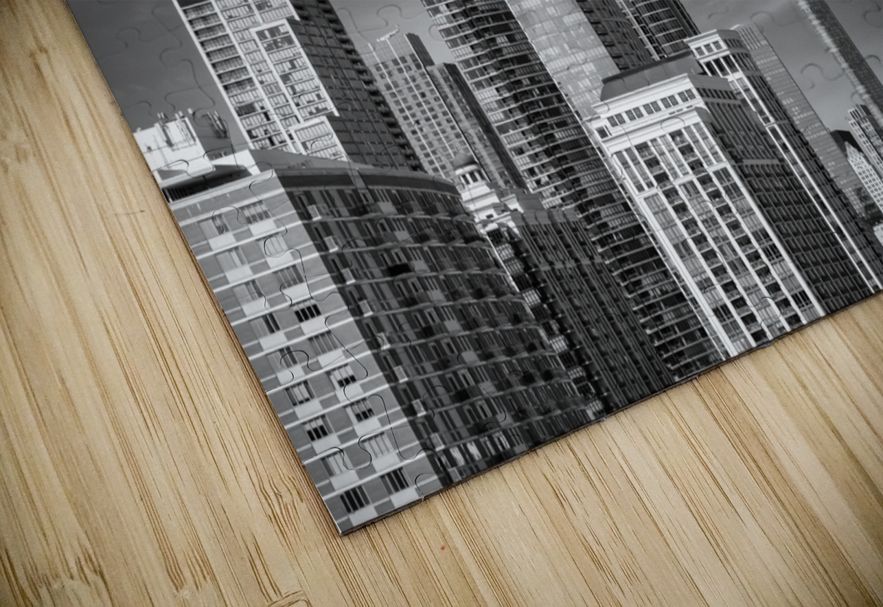 Chicago Loop Dave Bowman Puzzle