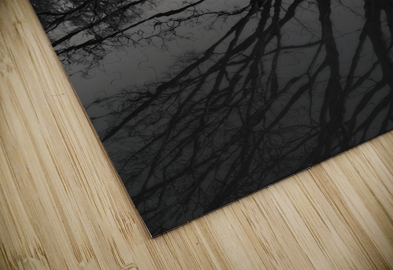 Dory on the Union Canal Dave Bowman Puzzle