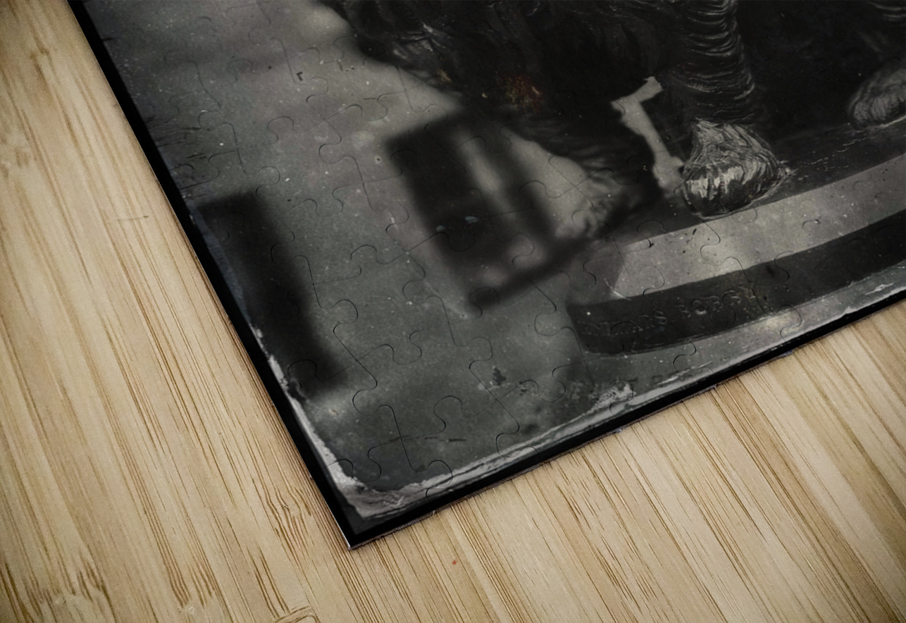 Greyfriars Bobby Dave Bowman Puzzle