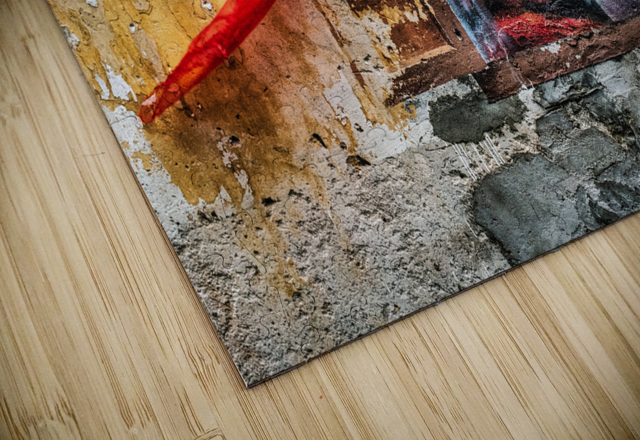 Lady with Red Scarf Dave Bowman Puzzle