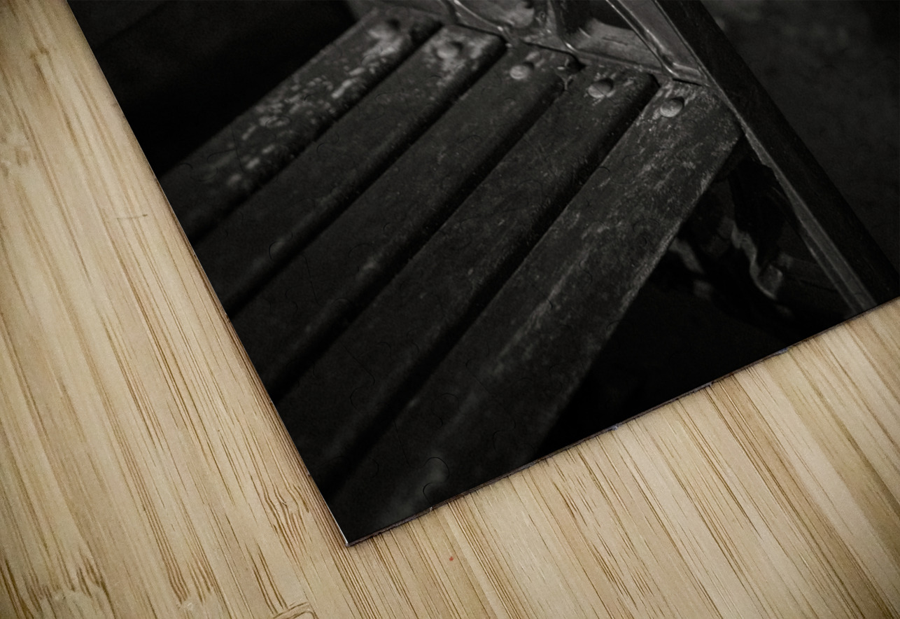 Parade Gardens Bench Dave Bowman Puzzle