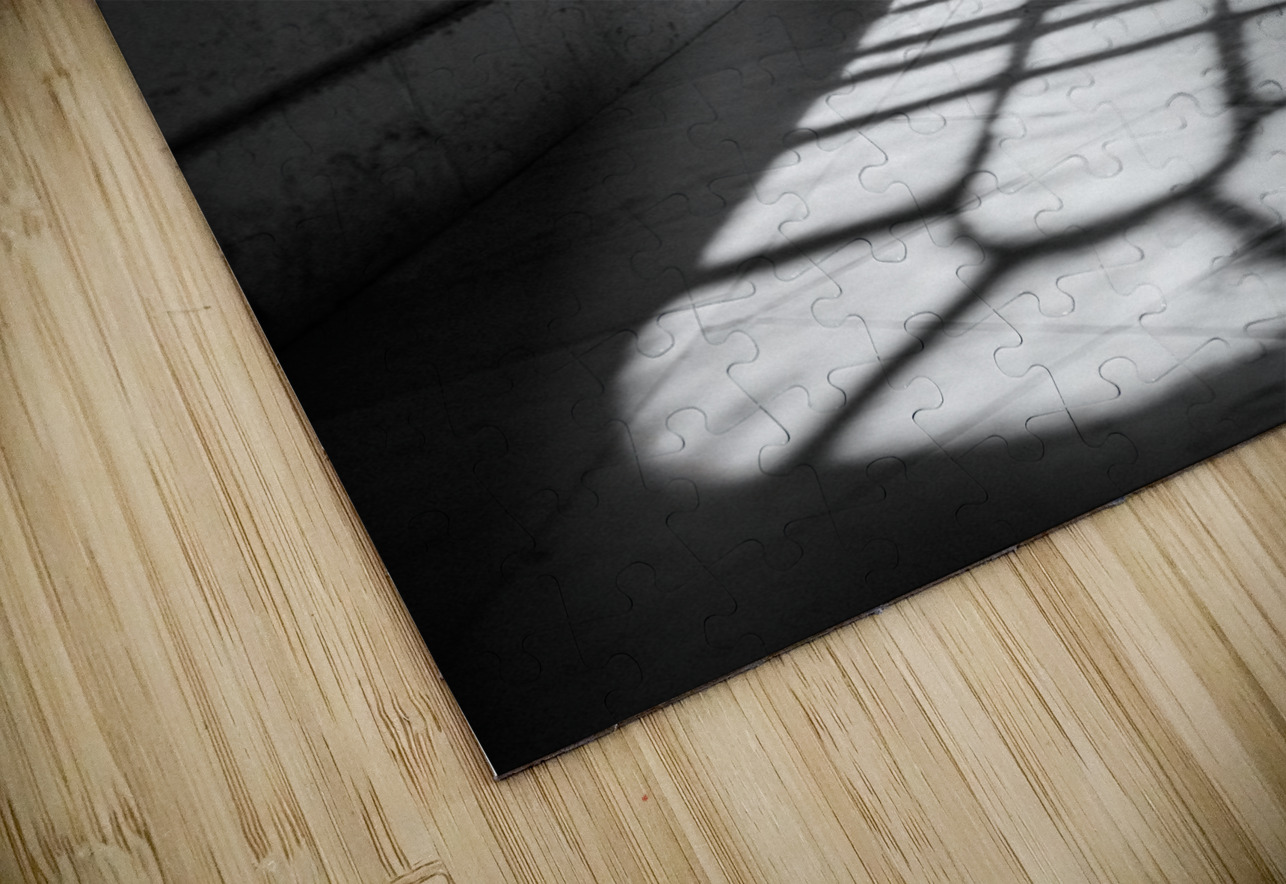 Temple of Venus Window Dave Bowman Puzzle