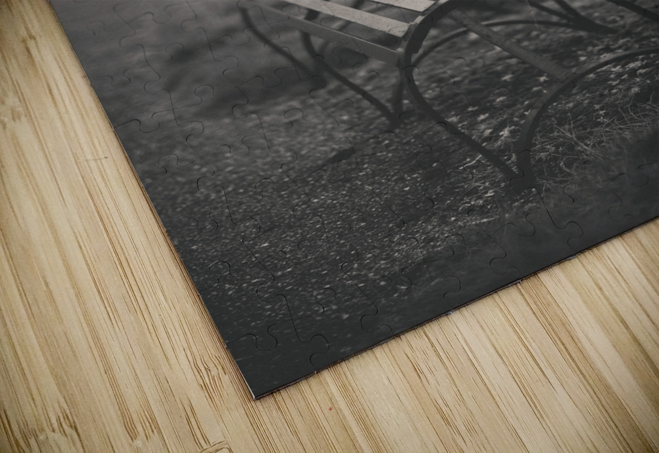 Alone Time Dave Bowman Puzzle