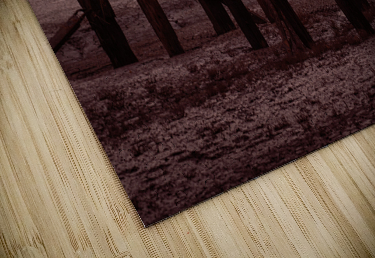 Grasping the Sun Dave Bowman Puzzle