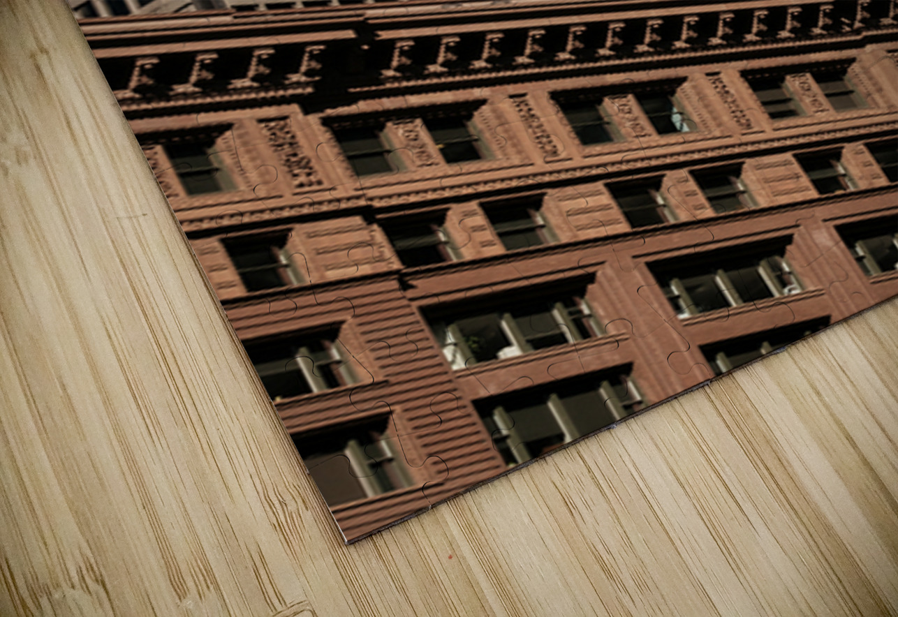 Chicago Old and New Dave Bowman Puzzle