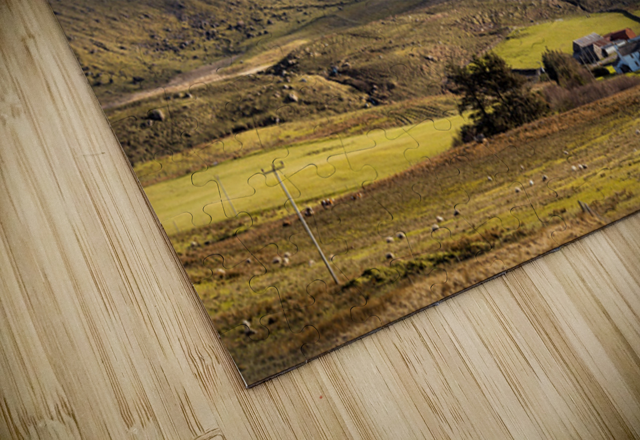 Mull Valley Dave Bowman Puzzle