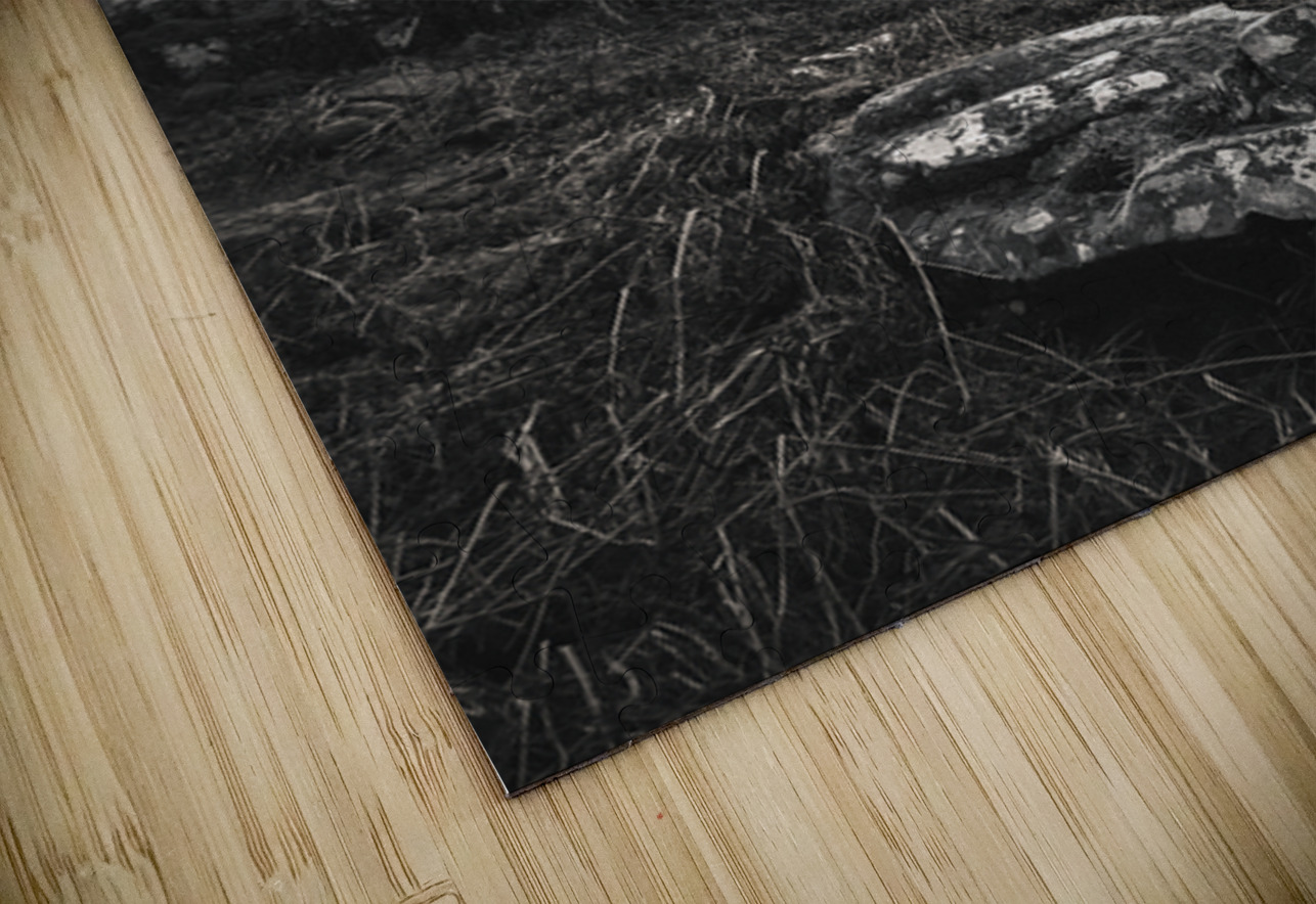 Mull Solitude Dave Bowman Puzzle