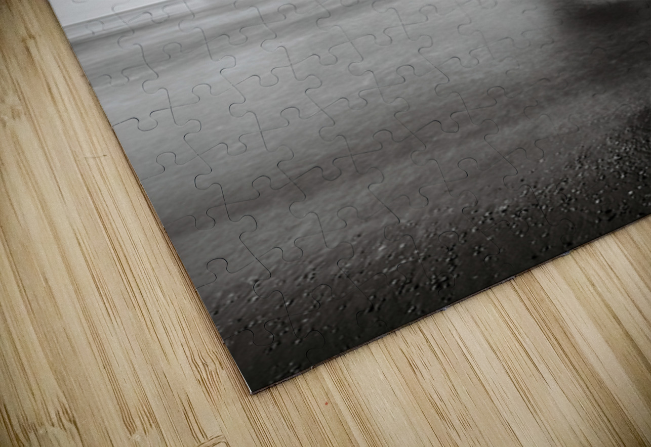 Scheveningen Pier Dave Bowman Puzzle