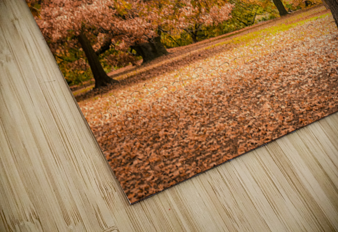 Autumn in Melbourne Dave Bowman Puzzle