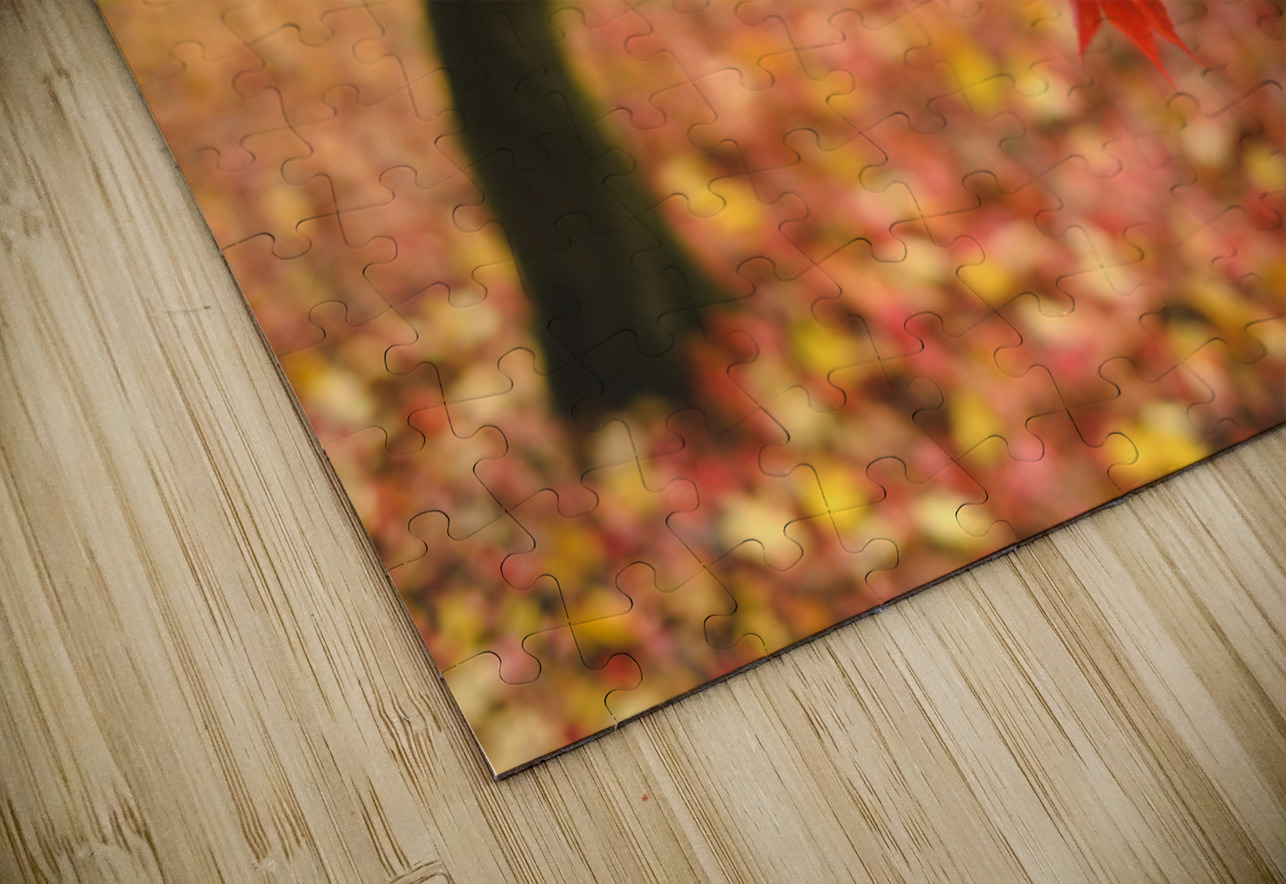 Autumn Japanese Maple Dave Bowman Puzzle