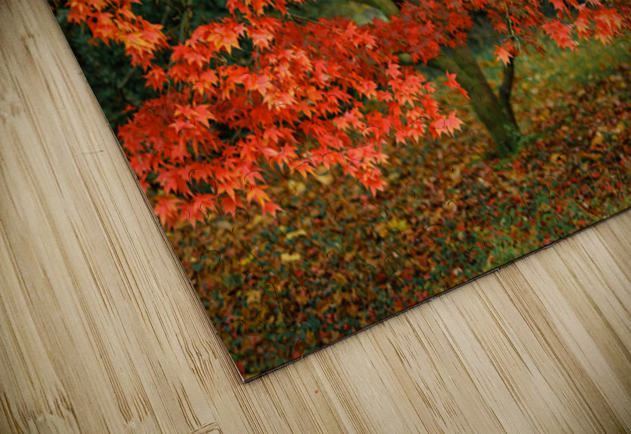 Leaves of Fire Dave Bowman Puzzle