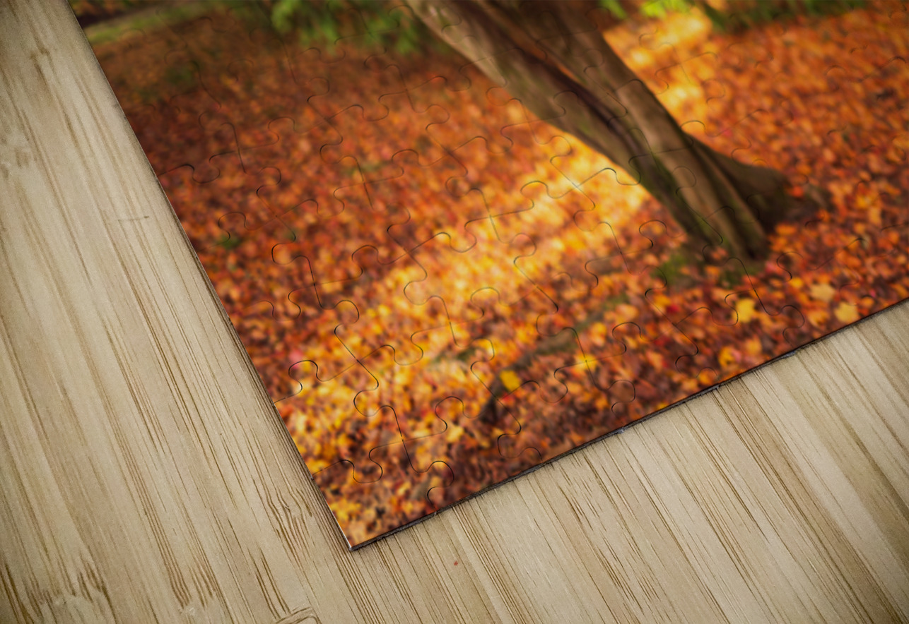 Maple Autumn Beauty Dave Bowman Puzzle