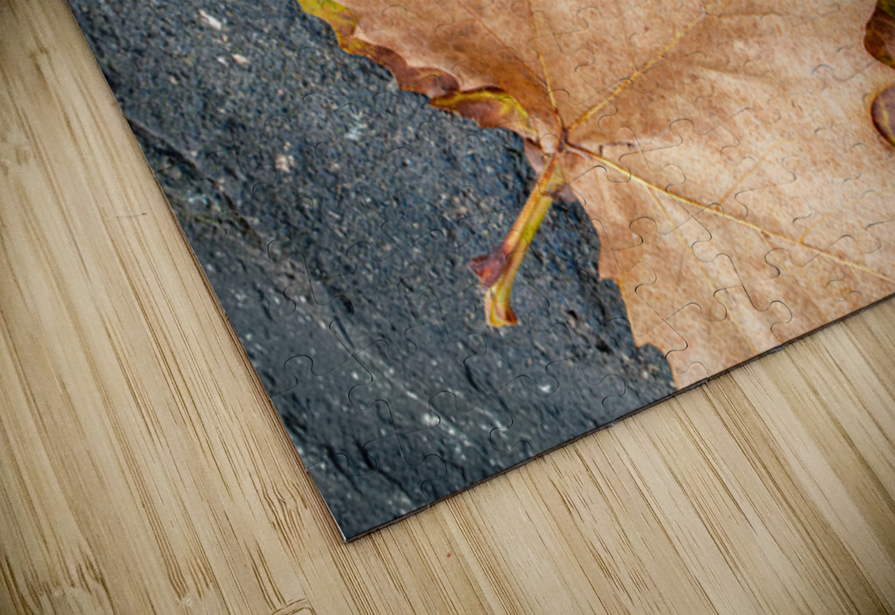 Two Autumn Leaves Dave Bowman Puzzle