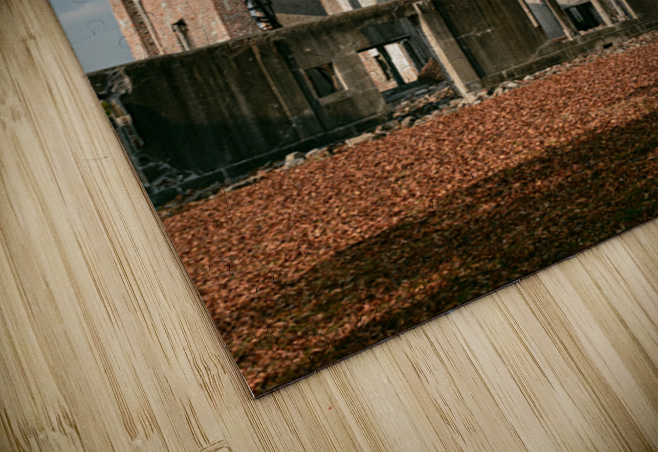 Atomic Bomb Dome Dave Bowman Puzzle