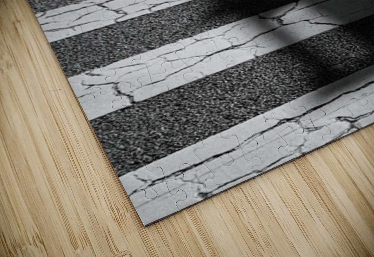 Tokyo Crossing Dave Bowman Puzzle