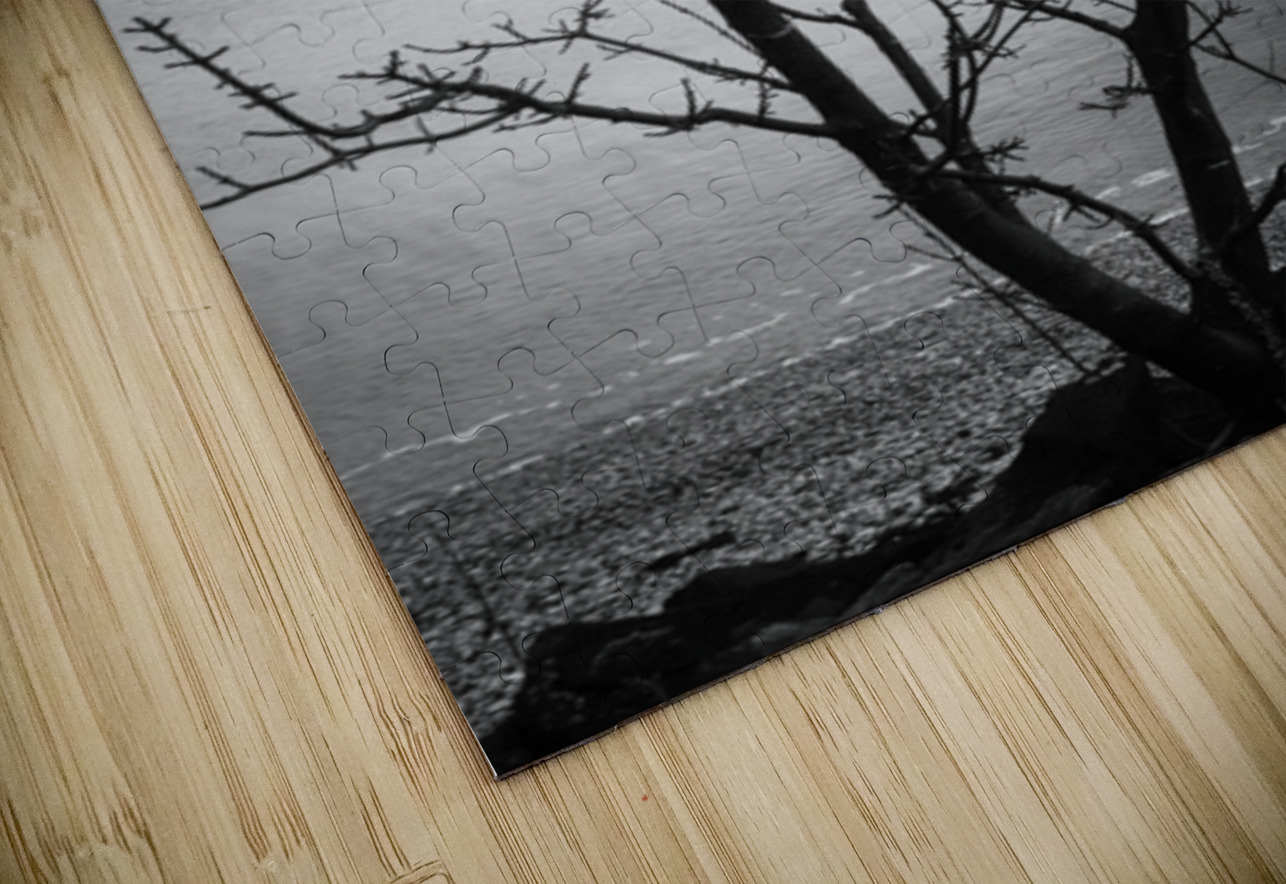 Islay Tree Dave Bowman Puzzle