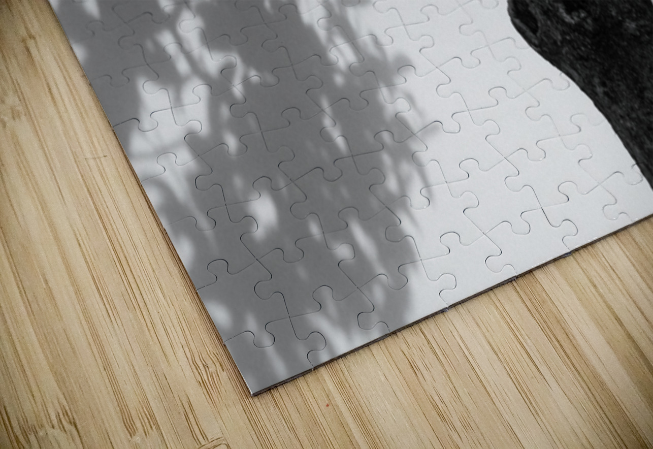 Nijo Castle Tree Dave Bowman Puzzle