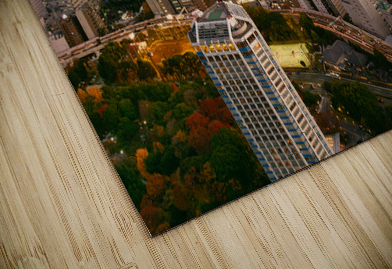 The Heart of Minato Dave Bowman Puzzle