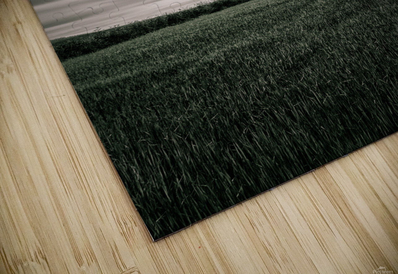 Crawton Copse Dave Bowman Puzzle