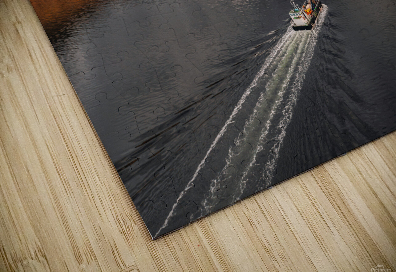 Heading to the Fish Farm Dave Bowman Puzzle