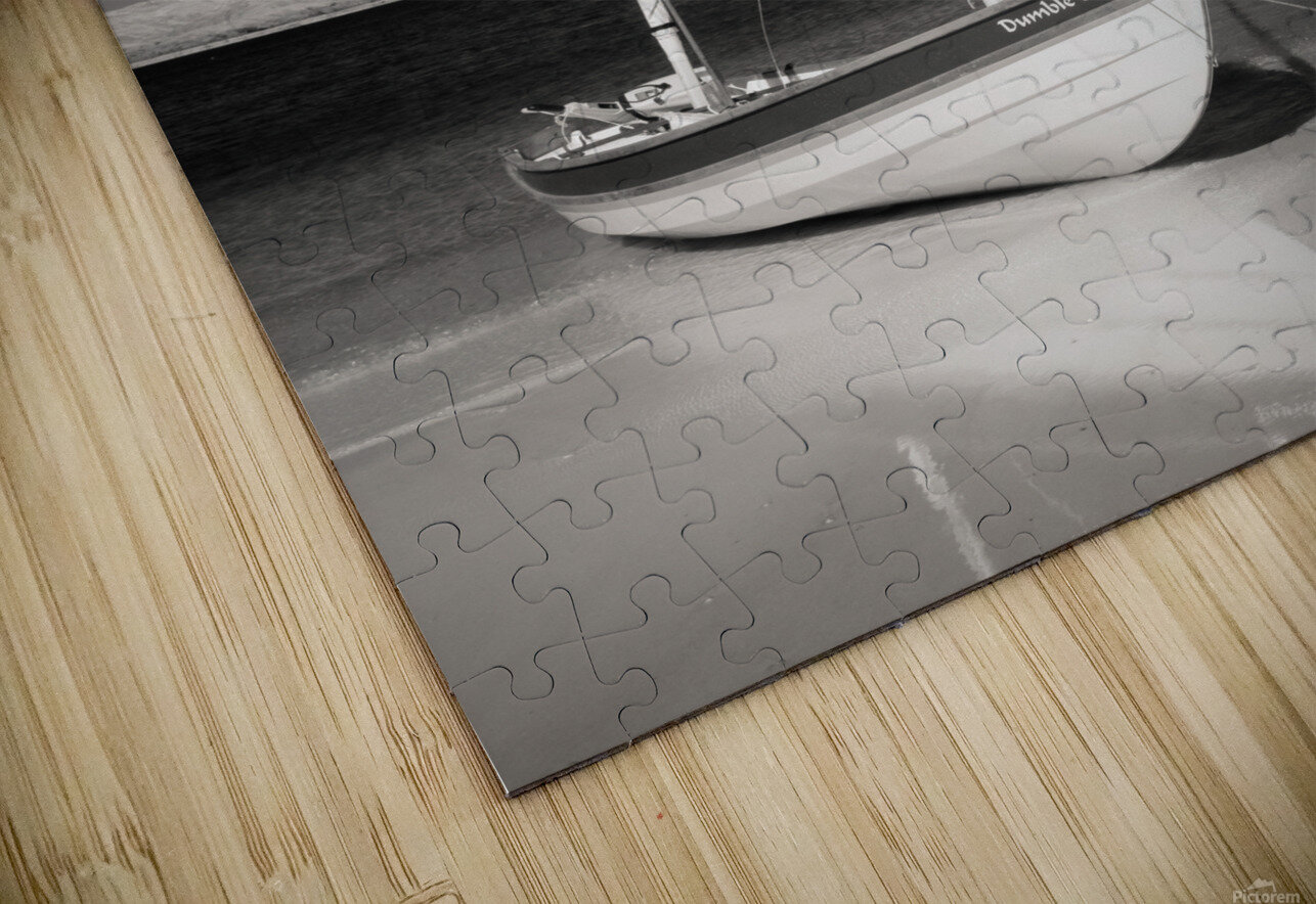 Dumble Dory Dave Bowman Puzzle