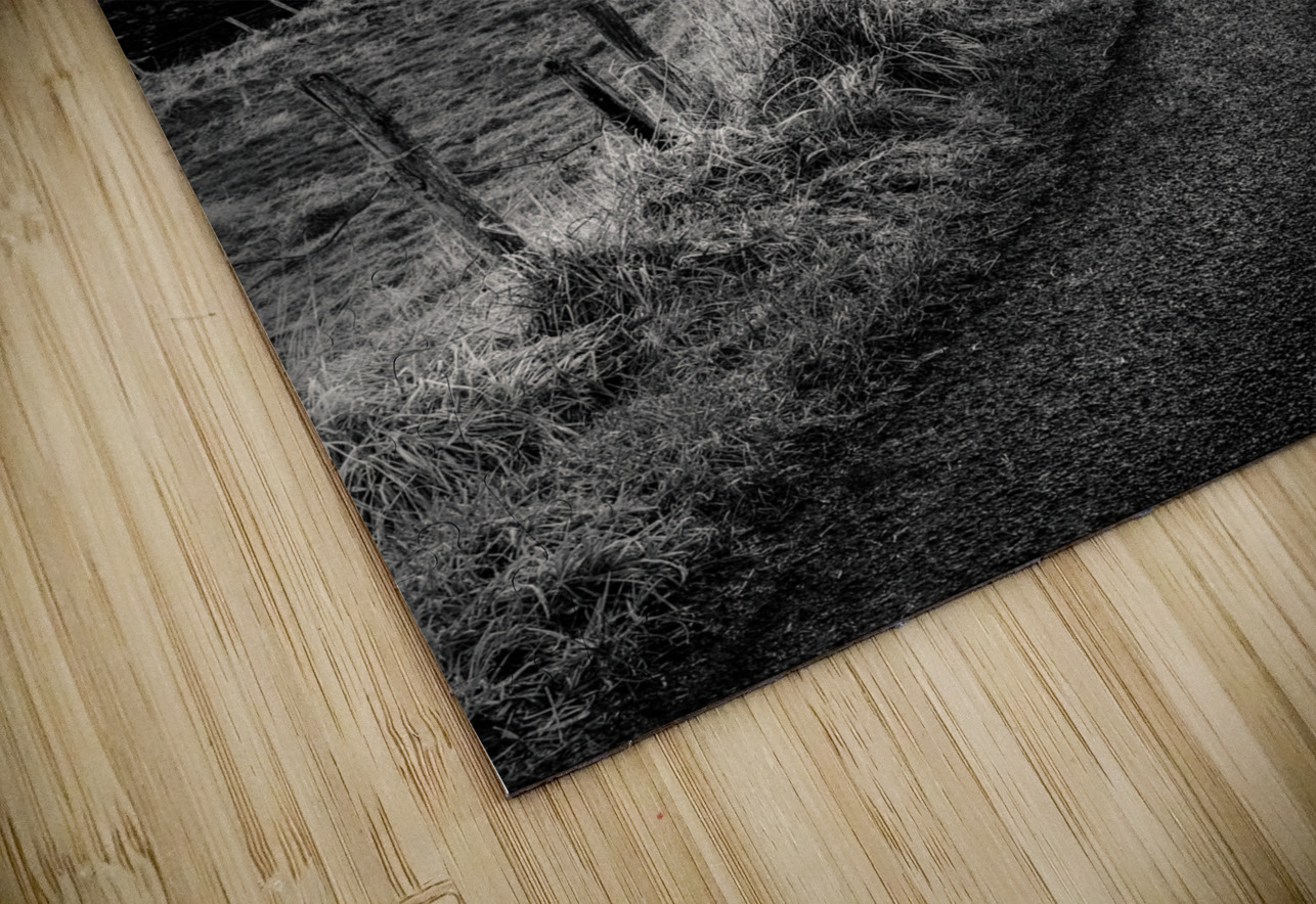 Road to Scurdie Ness Dave Bowman Puzzle