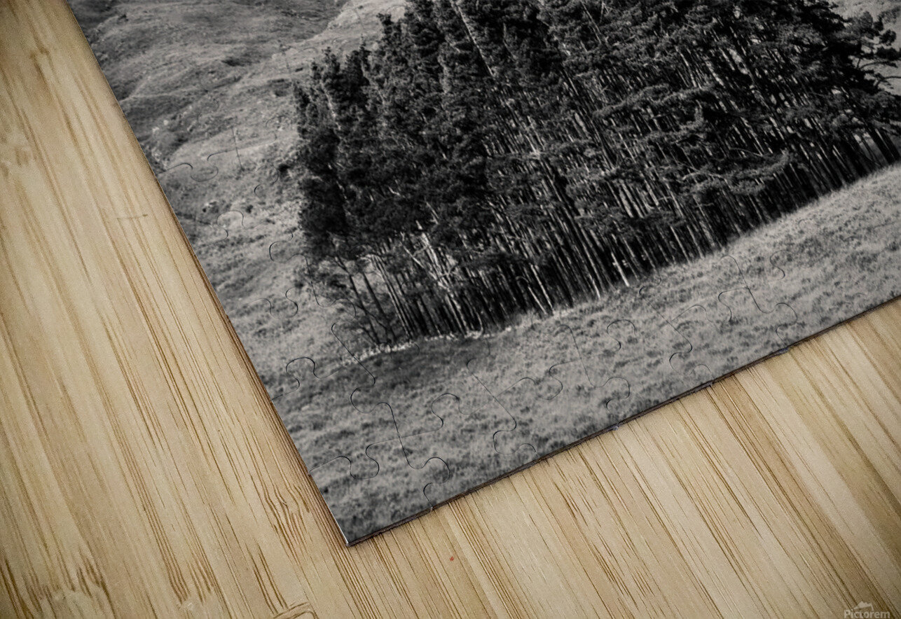 Torridon Trees Dave Bowman Puzzle