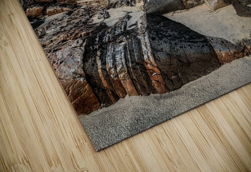 Hosta Beach Rocks Dave Bowman puzzle