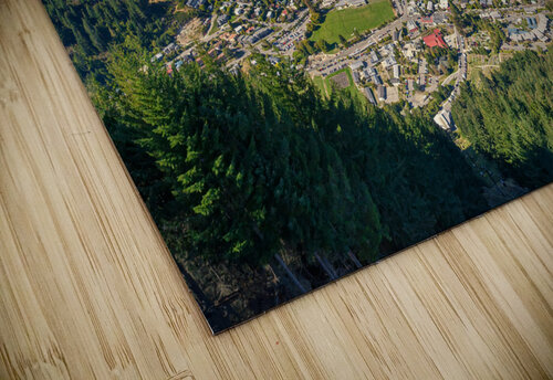 Queenstown Dave Bowman puzzle